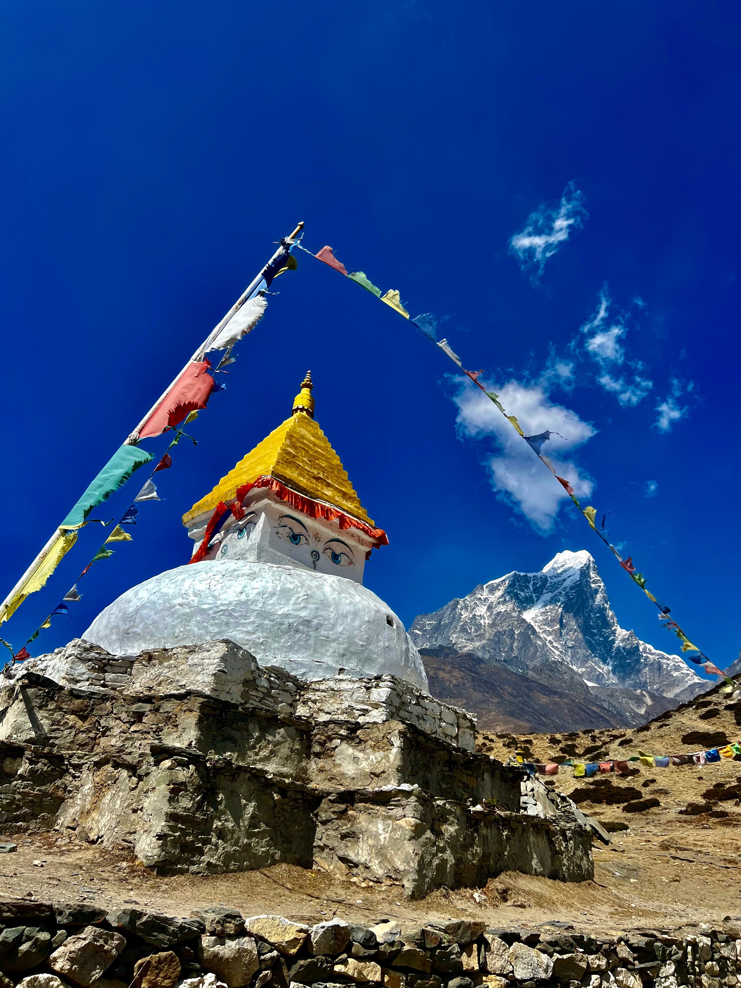 Whispers in the Wind: The Story of Himalayan Prayer Flags